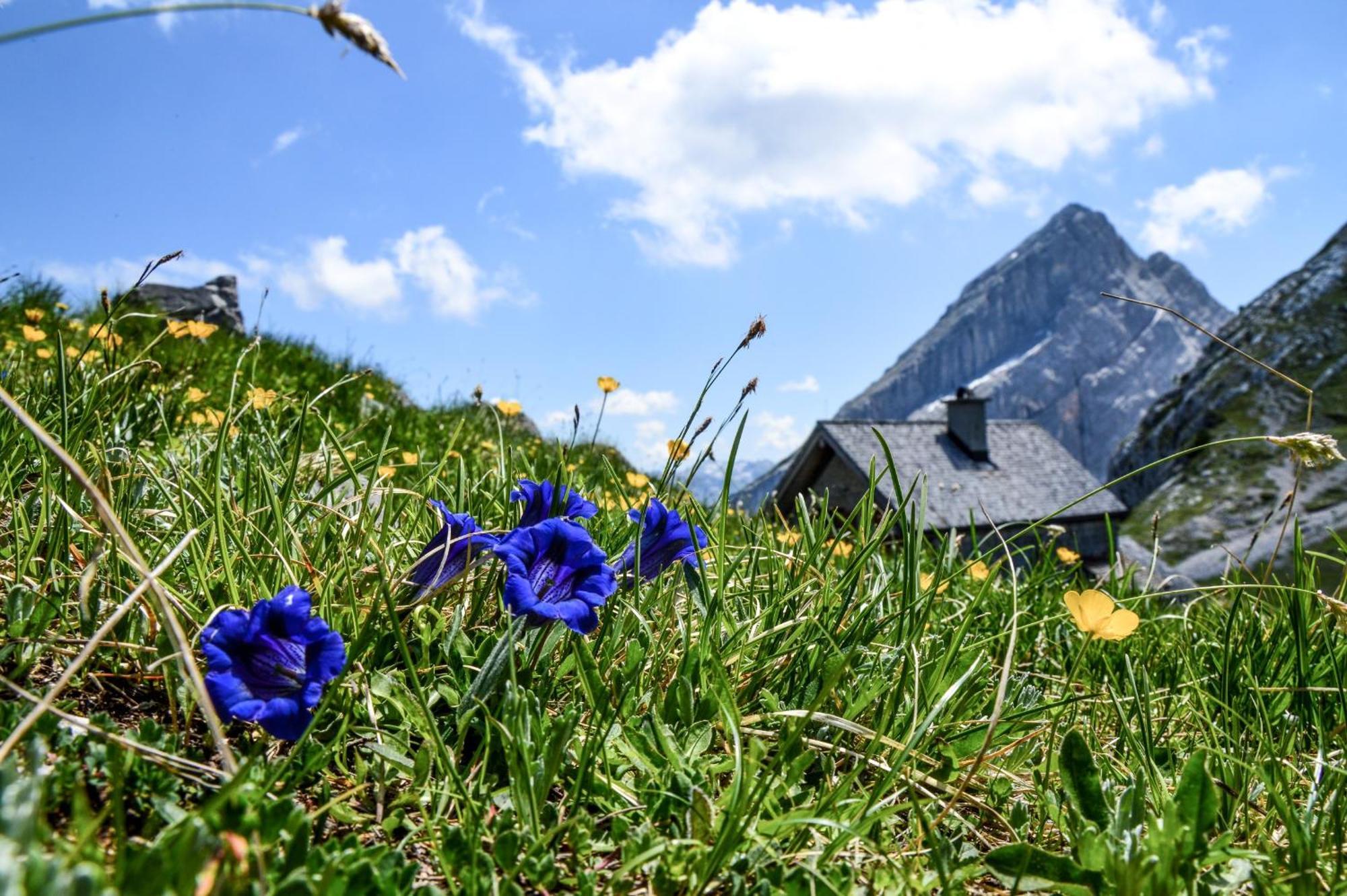 Ferienwohnung Fagstein Schönau am Königssee Zewnętrze zdjęcie